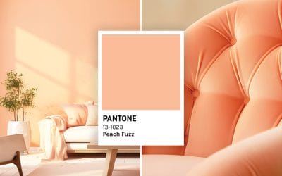 Finding Peace and Calm with Peach Fuzz, the 2024 Pantone Color of the Year
