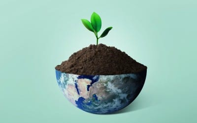 Earth Day at The IRON Shop: Behind the Finish