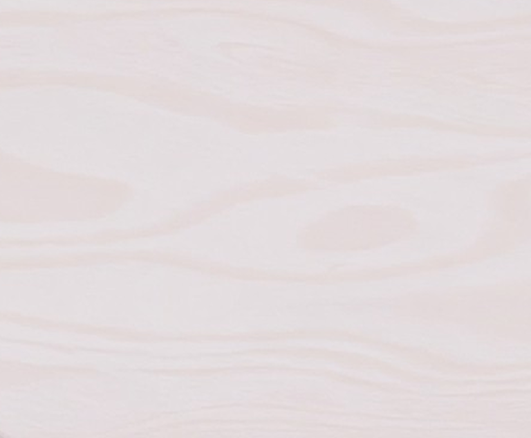 Baltic Birch Plywood wood sample swatch